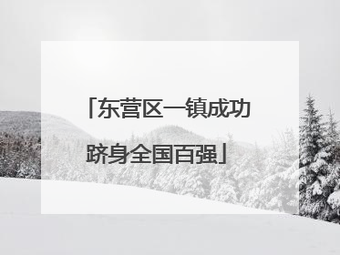 东营区一镇成功跻身全国百强