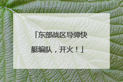 东部战区导弹快艇编队，开火！