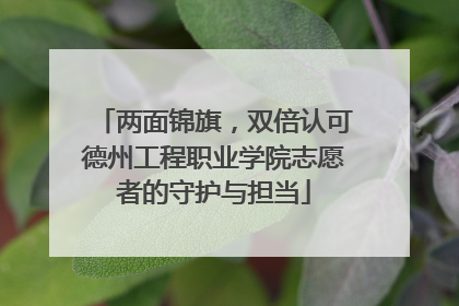 两面锦旗，双倍认可德州工程职业学院志愿者的守护与担当
