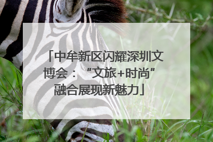 中牟新区闪耀深圳文博会：“文旅+时尚”融合展现新魅力