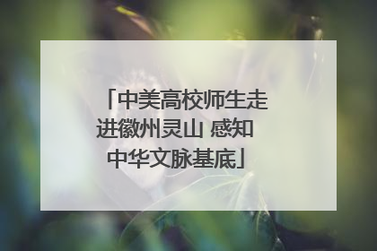 中美高校师生走进徽州灵山 感知中华文脉基底