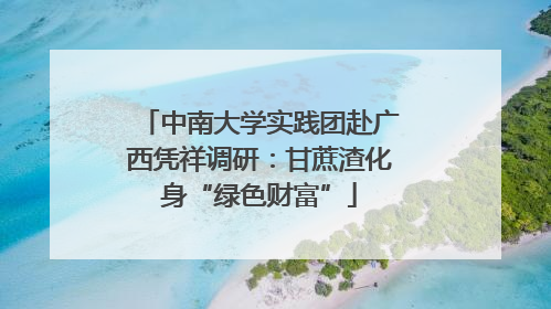 中南大学实践团赴广西凭祥调研：甘蔗渣化身“绿色财富”