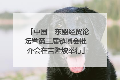 中国—东盟经贸论坛暨第三届链博会推介会在吉隆坡举行