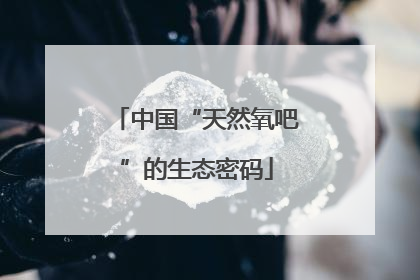 中国“天然氧吧”的生态密码