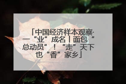 中国经济样本观察·一“业”成名丨面包“总动员”！“走”天下也“香”家乡