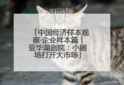中国经济样本观察·企业样本篇︱亚华湖剧院：小剧场打开大市场