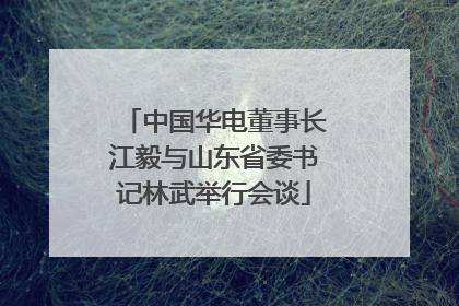 中国华电董事长江毅与山东省委书记林武举行会谈