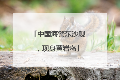 中国海警东沙舰，现身黄岩岛