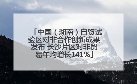 中国（湖南）自贸试验区对非合作创新成果发布 长沙片区对非贸易年均增长141%