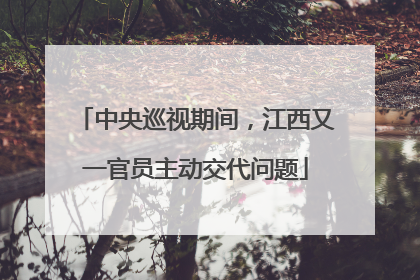 中央巡视期间，江西又一官员主动交代问题