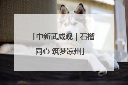 中新武威观｜石榴同心 筑梦凉州