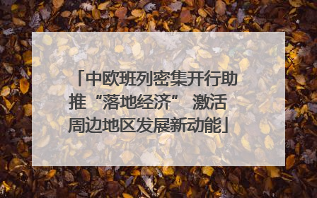 中欧班列密集开行助推“落地经济” 激活周边地区发展新动能