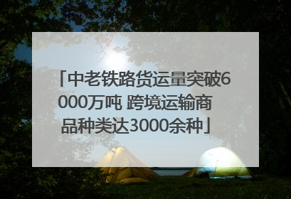 中老铁路货运量突破6000万吨 跨境运输商品种类达3000余种