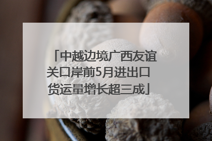 中越边境广西友谊关口岸前5月进出口货运量增长超三成
