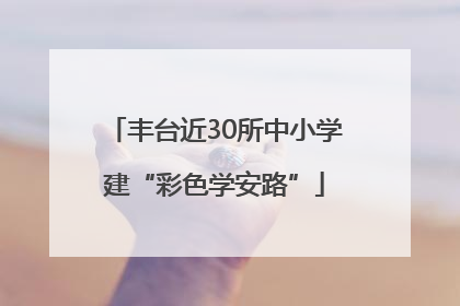 丰台近30所中小学建“彩色学安路”