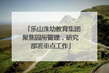乐山洙幼教育集团聚焦园所管理，研究部署重点工作