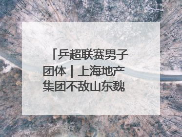 乒超联赛男子团体｜上海地产集团不敌山东魏桥·向尚运动