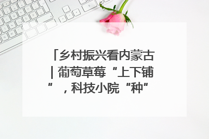 乡村振兴看内蒙古｜葡萄草莓“上下铺”，科技小院“种”出三倍效益