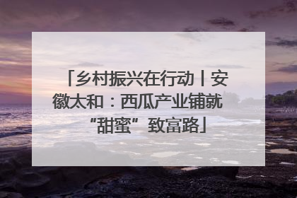 乡村振兴在行动丨安徽太和：西瓜产业铺就“甜蜜”致富路
