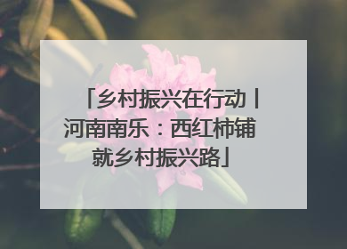 乡村振兴在行动丨河南南乐：西红柿铺就乡村振兴路