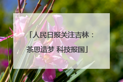 人民日报关注吉林：茶思造梦 科技报国