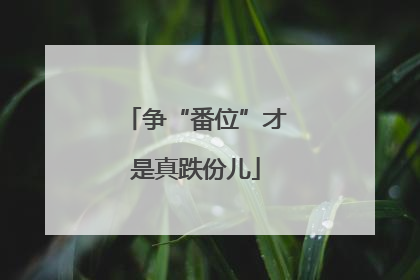 争“番位”才是真跌份儿