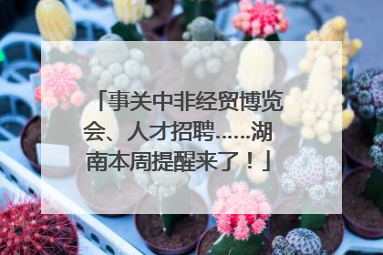 事关中非经贸博览会、人才招聘……湖南本周提醒来了！