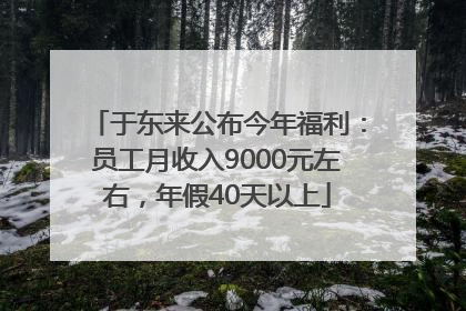 于东来公布今年福利：员工月收入9000元左右，年假40天以上