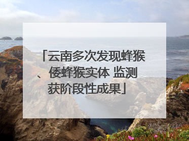 云南多次发现蜂猴、倭蜂猴实体 监测获阶段性成果