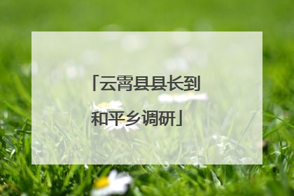 云霄县县长到和平乡调研