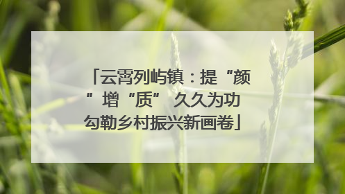 云霄列屿镇：提“颜”增“质” 久久为功勾勒乡村振兴新画卷