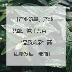 产业筑基、产城共融、携手共富——“品质龙泉”高质量发展三部曲