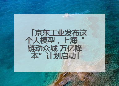 京东工业发布这个大模型，上海“链动众城 万亿降本”计划启动