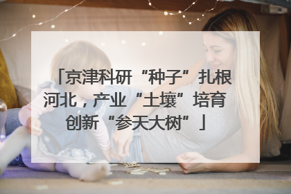 京津科研“种子”扎根河北，产业“土壤”培育创新“参天大树”
