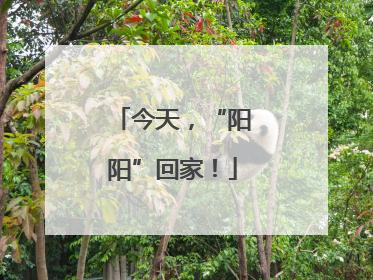 今天，“阳阳”回家！