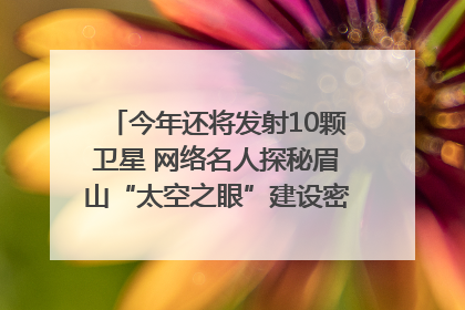 今年还将发射10颗卫星 网络名人探秘眉山“太空之眼”建设密码｜网络名人四川行