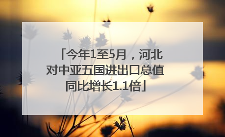 今年1至5月，河北对中亚五国进出口总值同比增长1.1倍