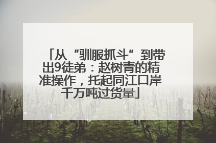 从“驯服抓斗”到带出9徒弟：赵树青的精准操作，托起同江口岸千万吨过货量