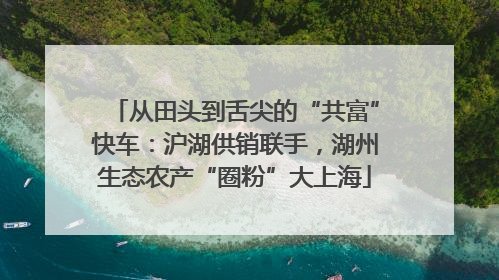 从田头到舌尖的“共富”快车：沪湖供销联手，湖州生态农产“圈粉”大上海