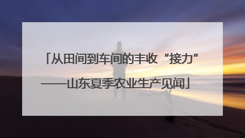 从田间到车间的丰收“接力”——山东夏季农业生产见闻