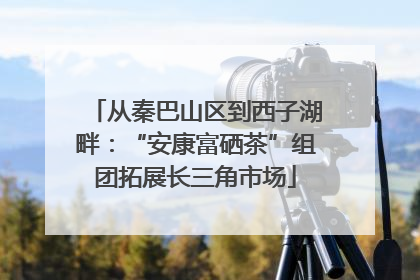 从秦巴山区到西子湖畔：“安康富硒茶”组团拓展长三角市场
