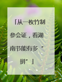 从一枚竹制参会证，看湖南节能有多“拼”
