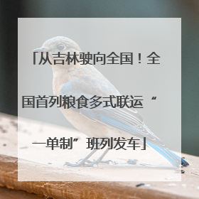 从吉林驶向全国！全国首列粮食多式联运“一单制”班列发车