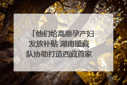 他们给高原孕产妇发放补贴 湖南援藏队协助打造西藏首家高原产儿协同中心