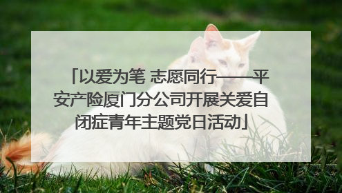 以爱为笔 志愿同行——平安产险厦门分公司开展关爱自闭症青年主题党日活动