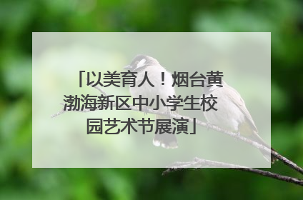 以美育人！烟台黄渤海新区中小学生校园艺术节展演