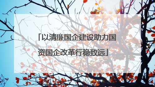 以清廉国企建设助力国资国企改革行稳致远
