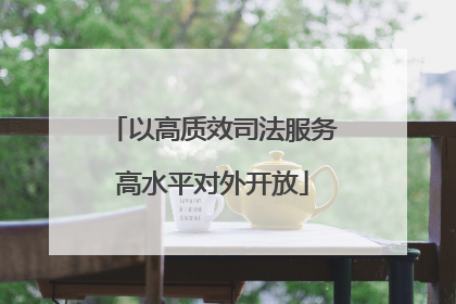 以高质效司法服务高水平对外开放