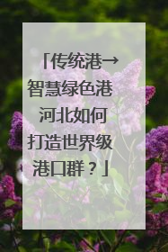 传统港→智慧绿色港 河北如何打造世界级港口群？
