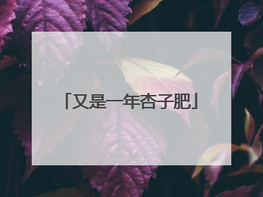 又是一年杏子肥
